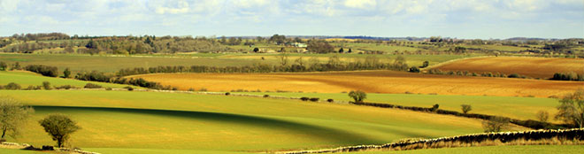 Cotswolds